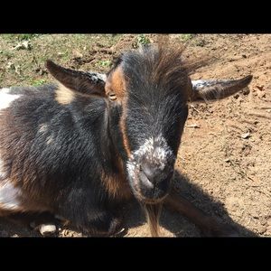 Meet your Posher, Kay